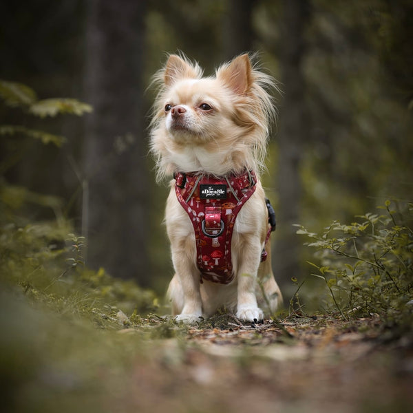 Hike & Go Lite™ Harness - Mulberry Mushrooms