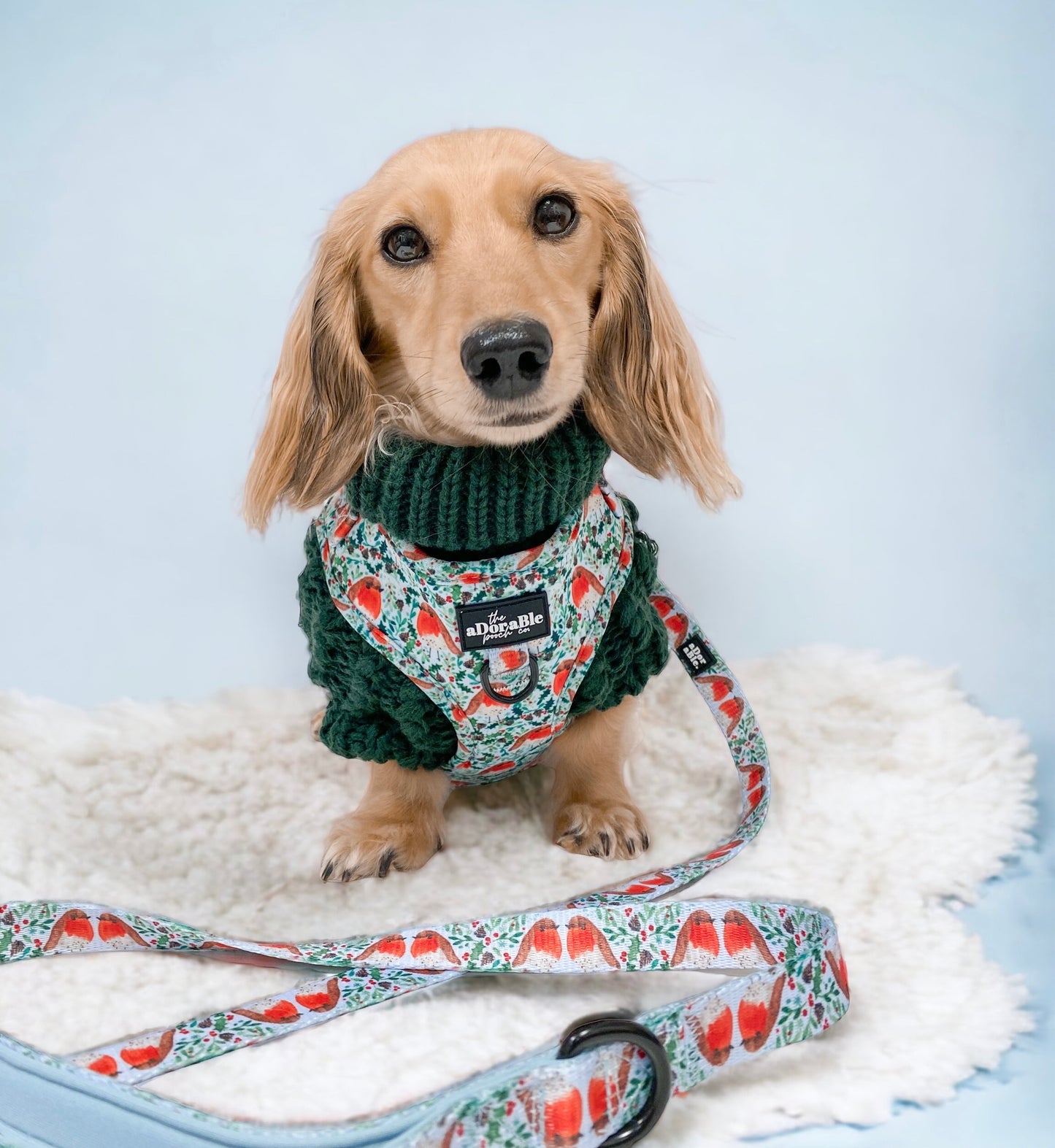 Hand Knitted Dachshund Jumper - Spruce Green