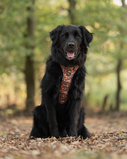 Hike & Go™ Harness - Foragers Forest