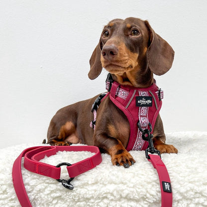 Hike & Go™ Harness - Cherrywood Ivy