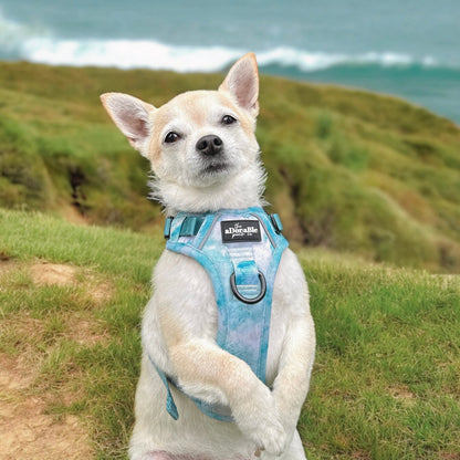 Hike & Go Lite™ Harness - Watercolour Waves