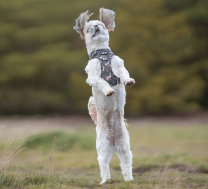 Hike & Go™ Harness - Nature Trails