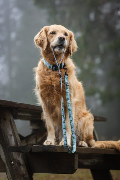 Lead - Daydream Heights