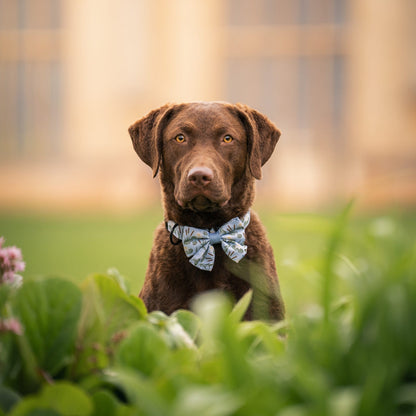 Dog Sailor Bow Tie - Willow Waters
