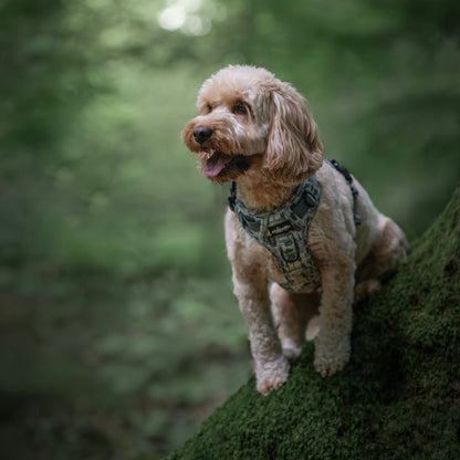 Hike & Go™ Harness - Countryside Hills