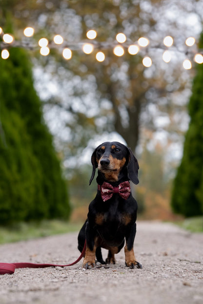 Bow Tie - Winter Fawn