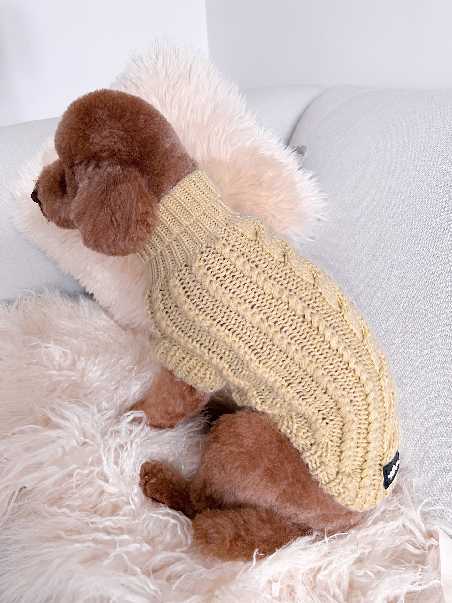 Hand Knitted Dachshund Jumper - Lemon Sherbet