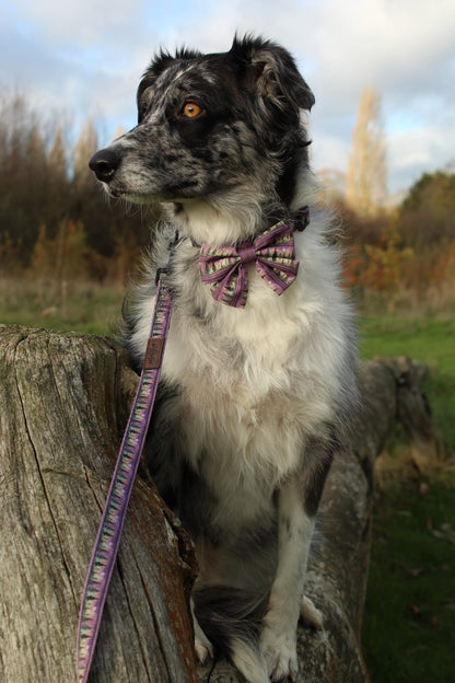 Lead - Moonlit Pines