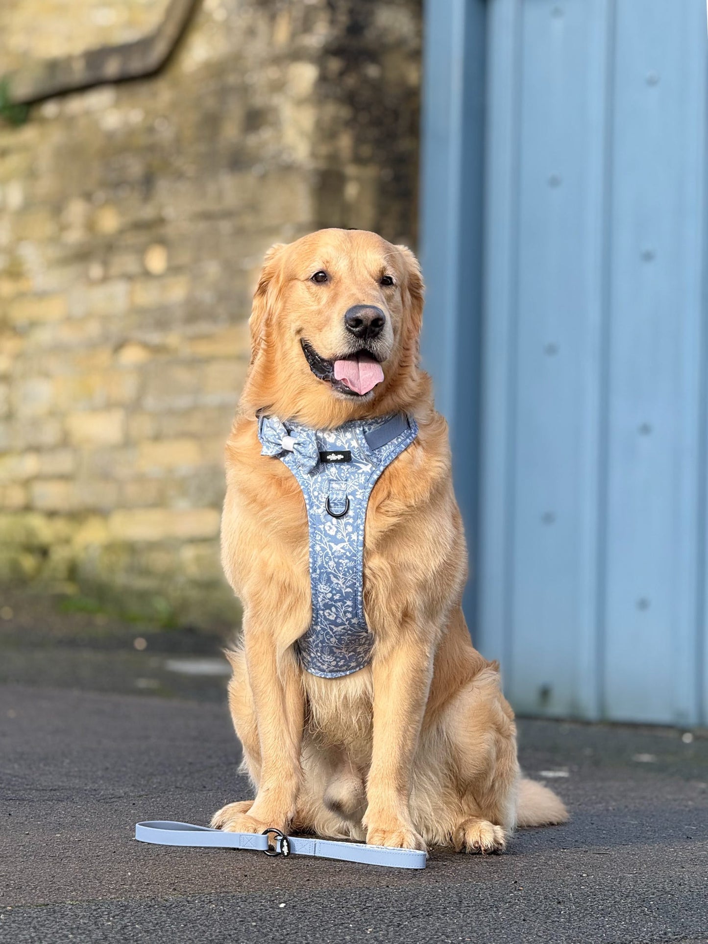 Laura Ashley Dog Harness - Shepherd's Purse