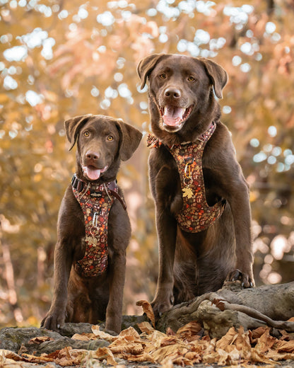 Hike & Go™ Harness - Foragers Forest