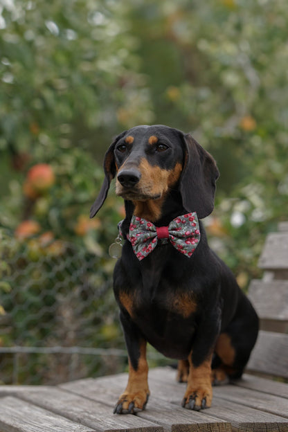 Bow Tie - Crab Apple Cottage
