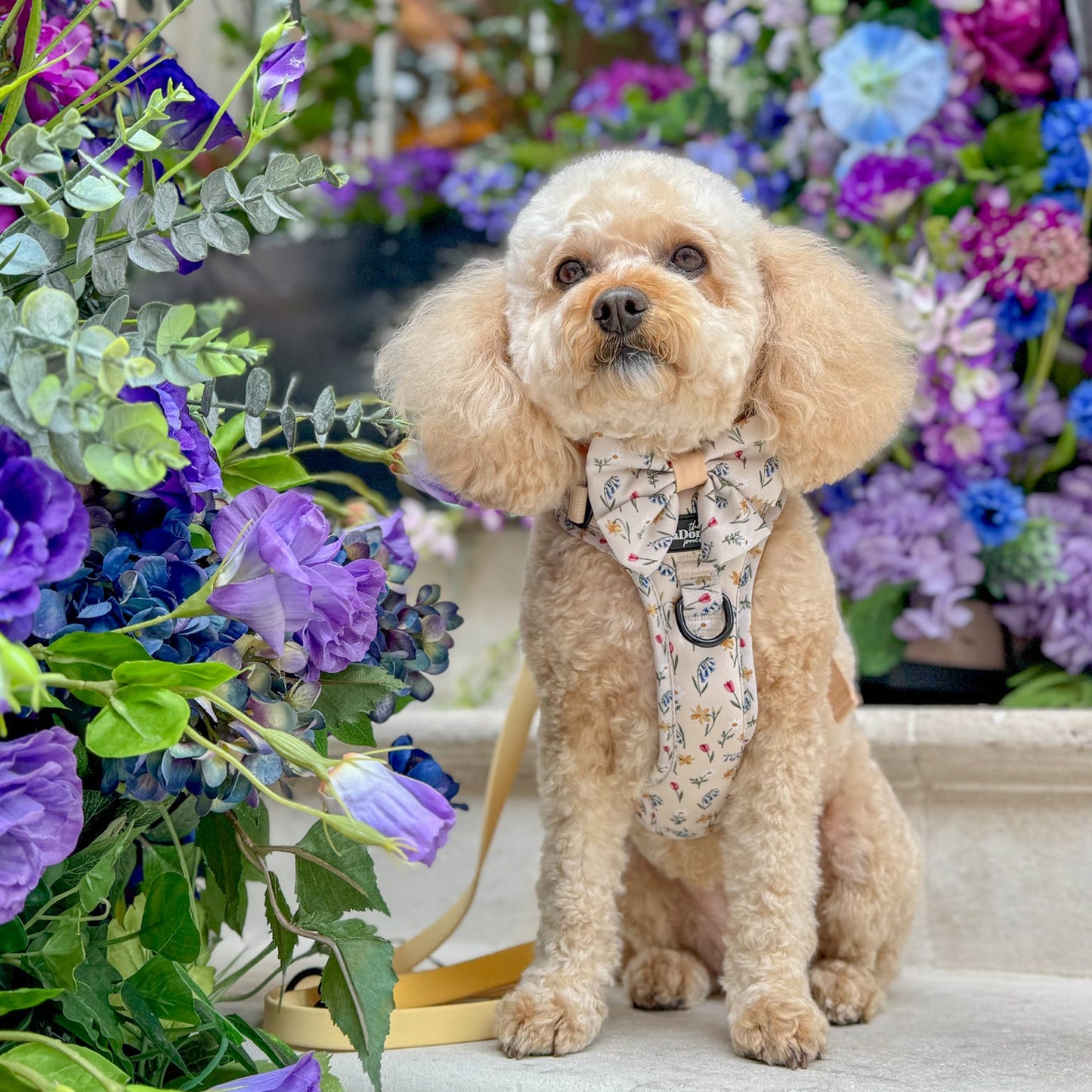 Hike & Go Lite™ Harness - Spring Garden