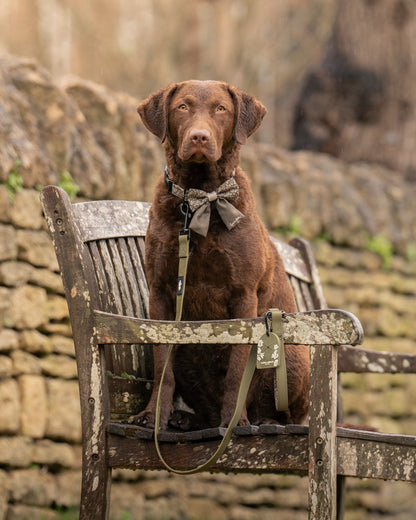 Laura Ashley Waterproof Dog Lead - Sweet Alyssum