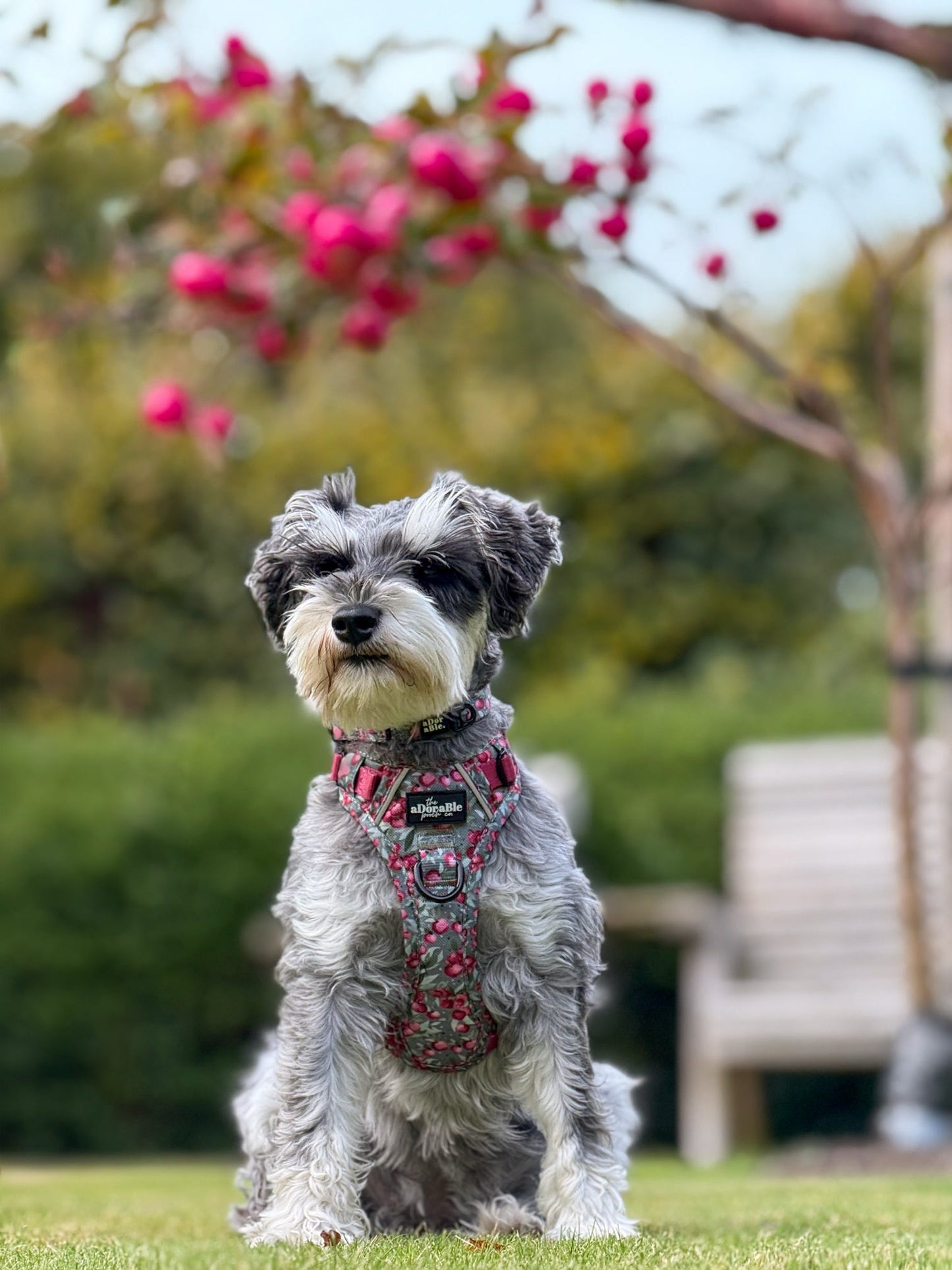 Hike & Go™ Harness - Crab Apple Cottage