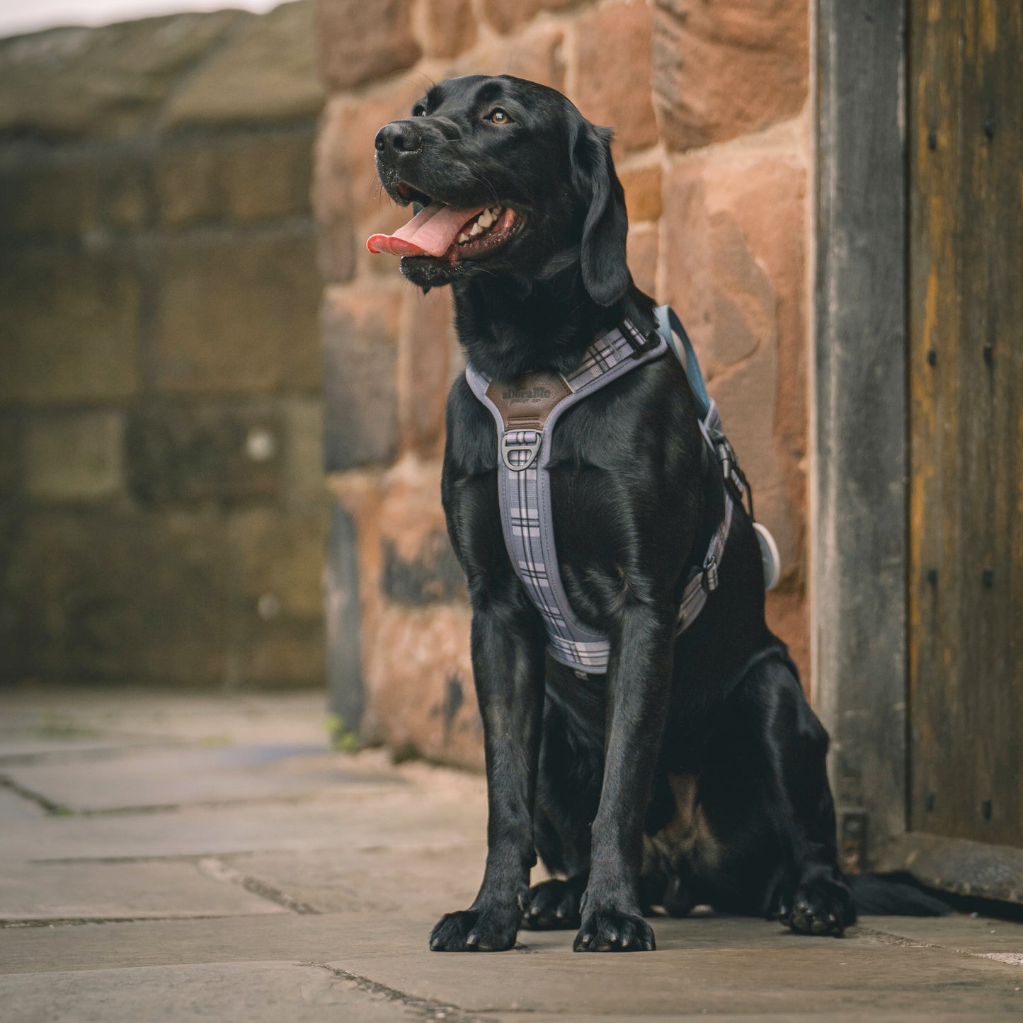 Streamline Pro™ Dog Harness - Heritage Collection - Gunsmoke Grey