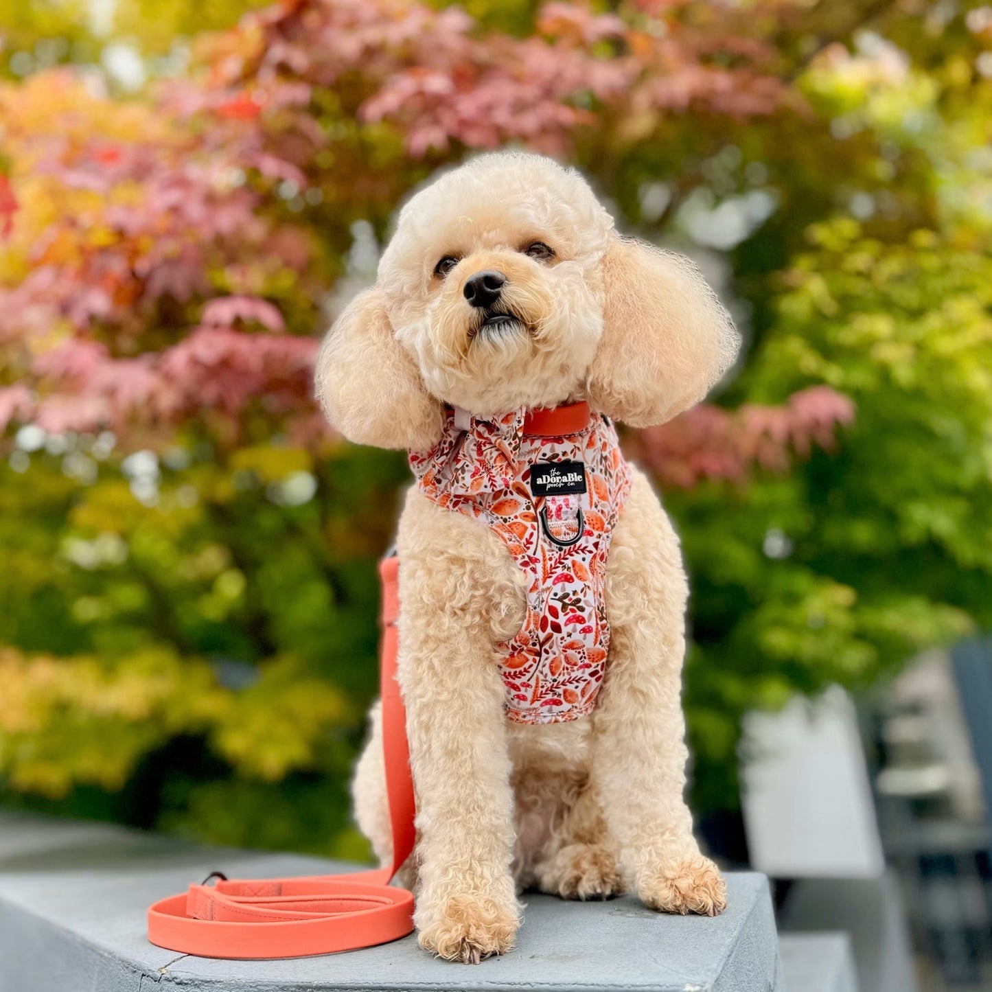 HydroFlex™ Two-tone Waterproof Dog Lead - Burnt Orange