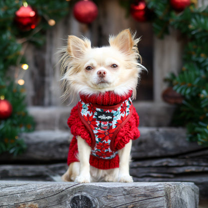 Hand Knitted Dachshund Jumper - Berry Red