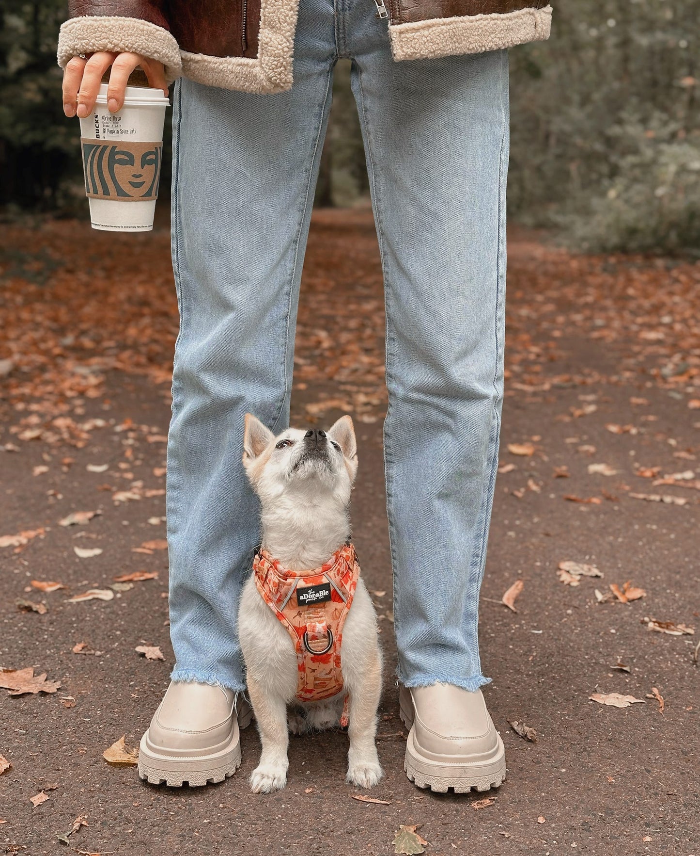 Hike & Go Lite™ Harness - Pumpkin Harvest