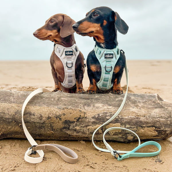 Hike & Go™ Harness - Coconut Cream