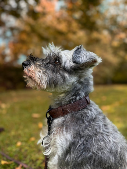 Heritage Faux Leather Dog Collar - Brown