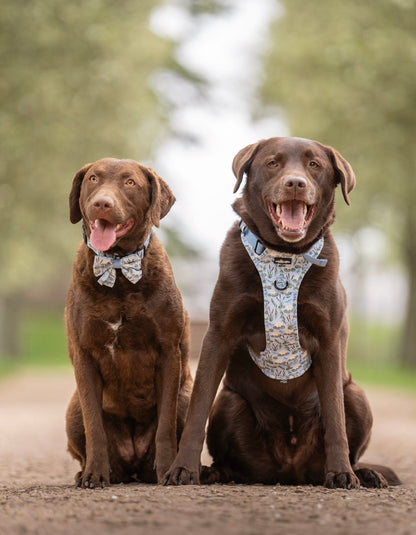 Hike & Go Lite™ Harness - Willow Waters