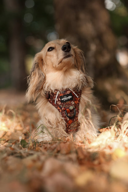 Hike & Go™ Harness - Foragers Forest
