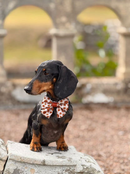 Dog Sailor Bow Tie - Pumpkin Farm