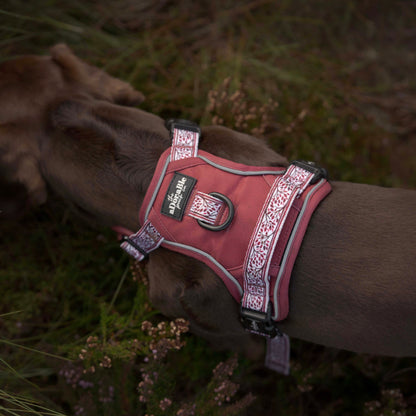 Hike & Go™ Harness - Cherrywood Ivy