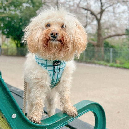 Adjustable Harness - LUXE Frosted Mint Plaid