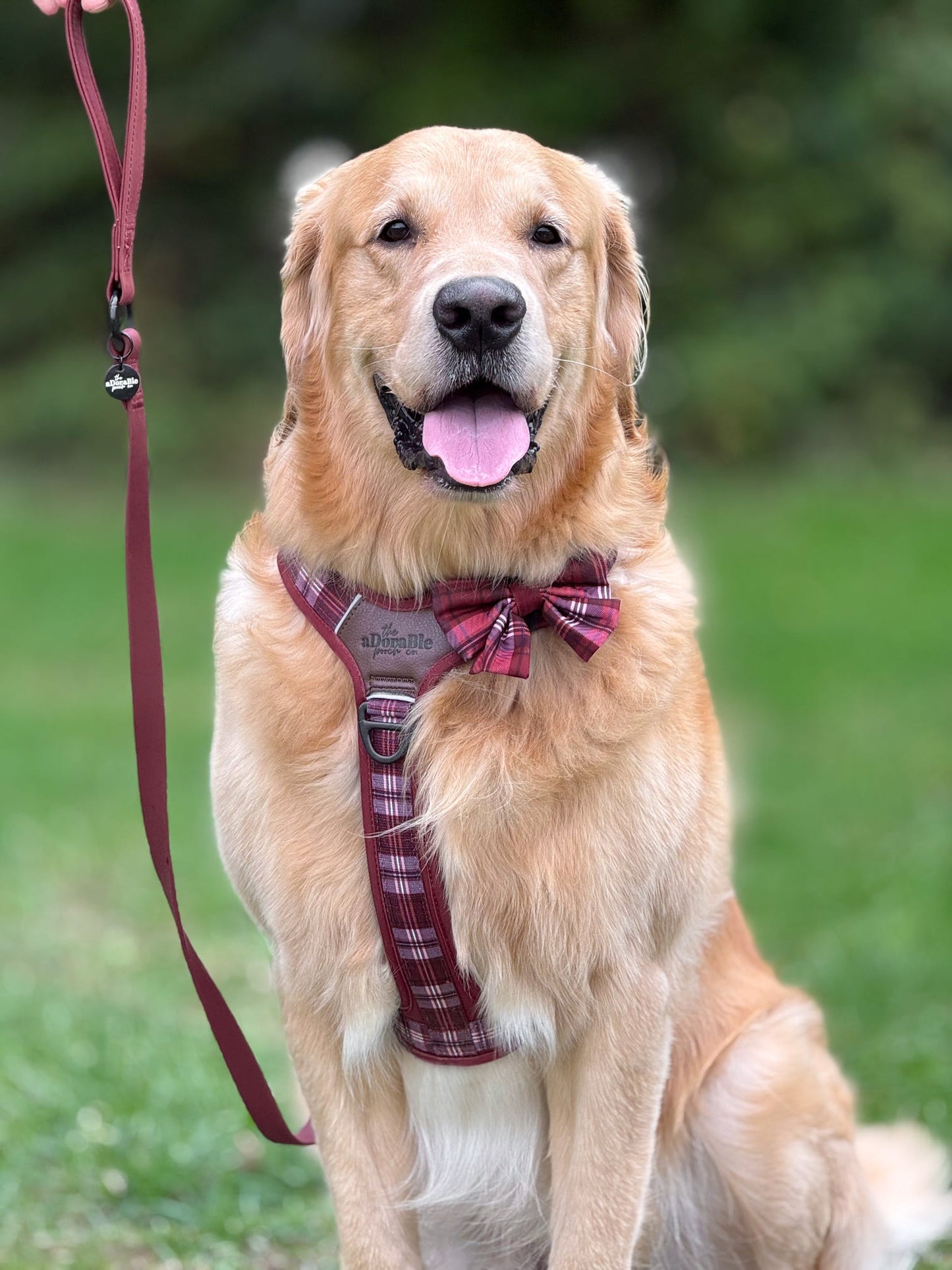 Heritage Sailor Bow Tie - Merlot Manor