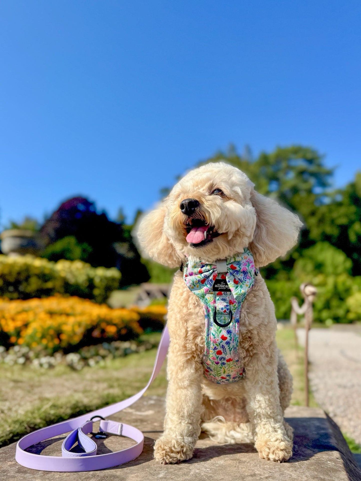 Hike & Go Lite™ Harness - Wildflower Meadow