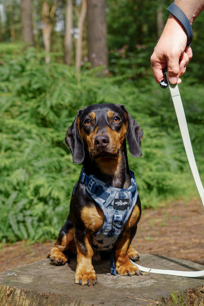 HydroFlex™ Two-tone Waterproof Dog Lead - Navy & Muted Mint