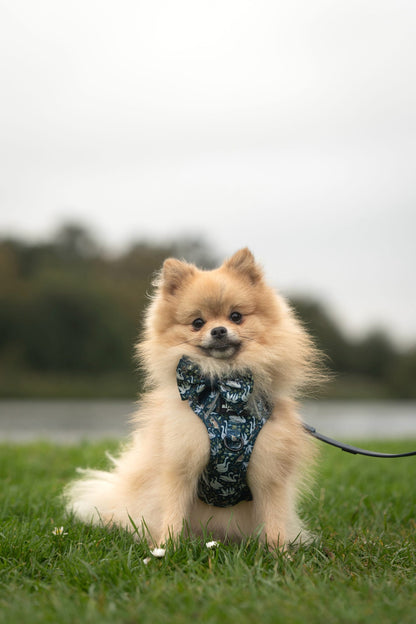 Hike & Go Lite™ Harness - Twelve Days