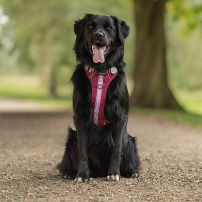 Hike & Go™ Harness - Cherrywood Ivy