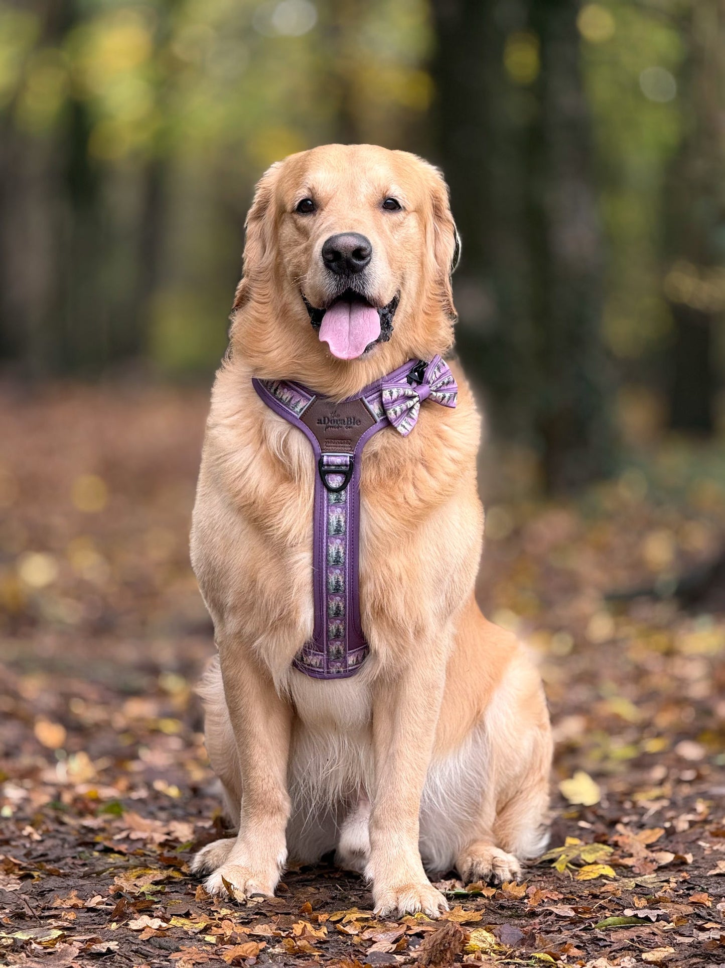 Streamline Pro™ Dog Harness - Moonlit Pines