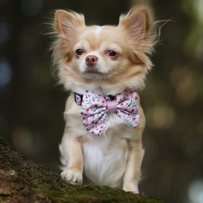 Small dog with a bow tie sitting on a tree branch