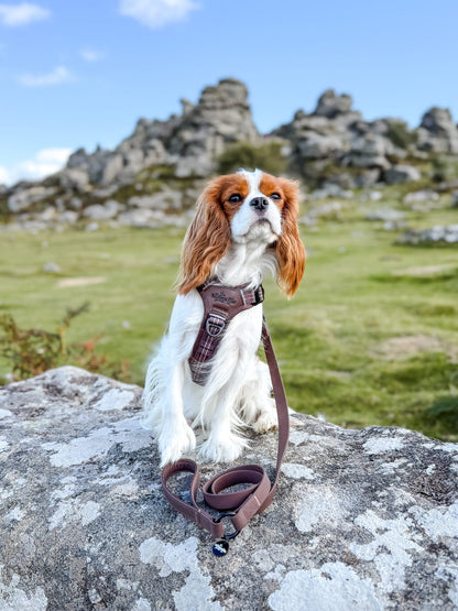 Streamline Pro™ Dog Harness - Heritage Collection - Truffle Brown