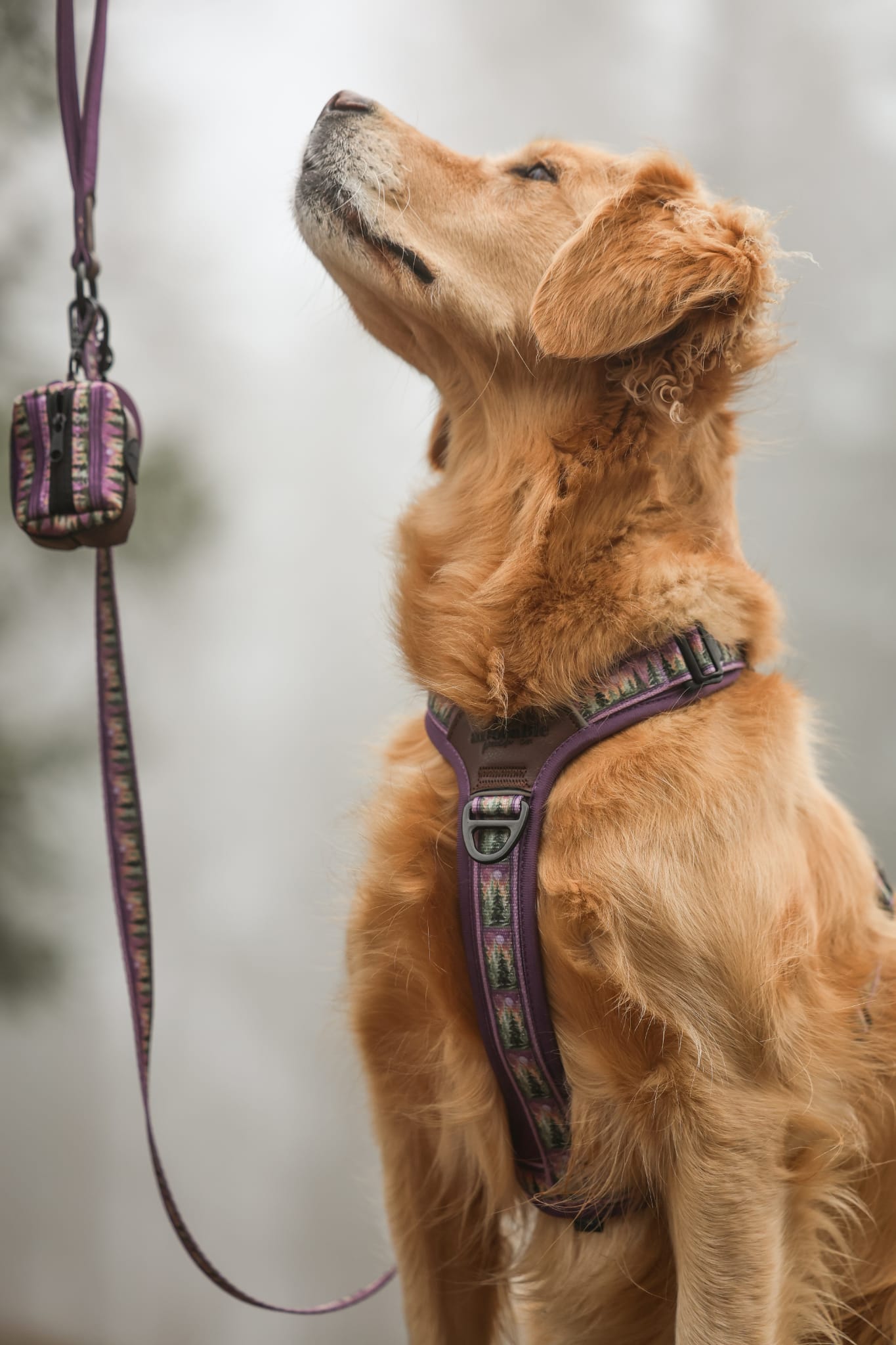 Dog Poop Bag Holder - Moonlit Pines