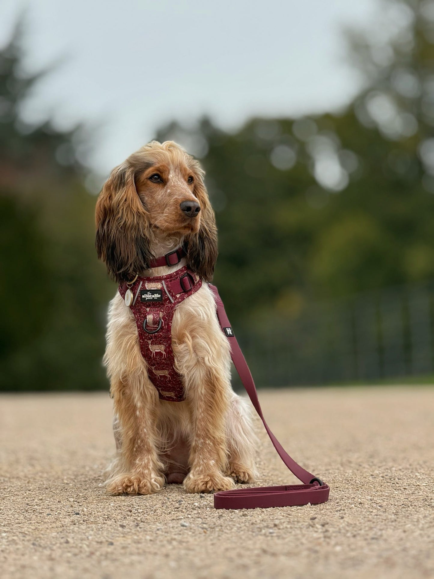 Hike & Go Lite™ Harness - Winter Fawn