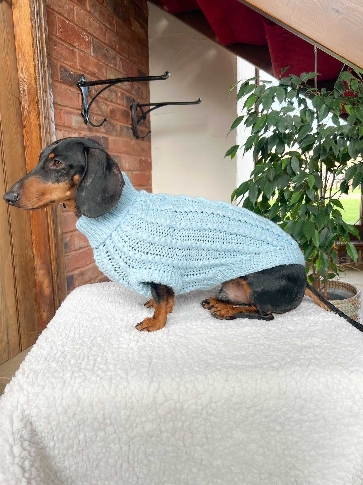 Hand Knitted Dachshund Jumper - Ice Blue