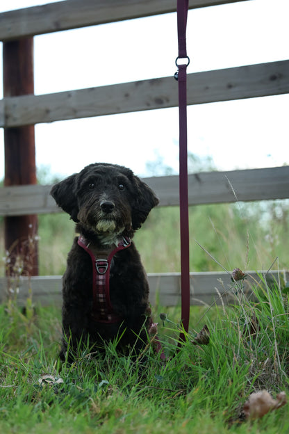 HydroFlex™ Waterproof Dog Lead - Merlot