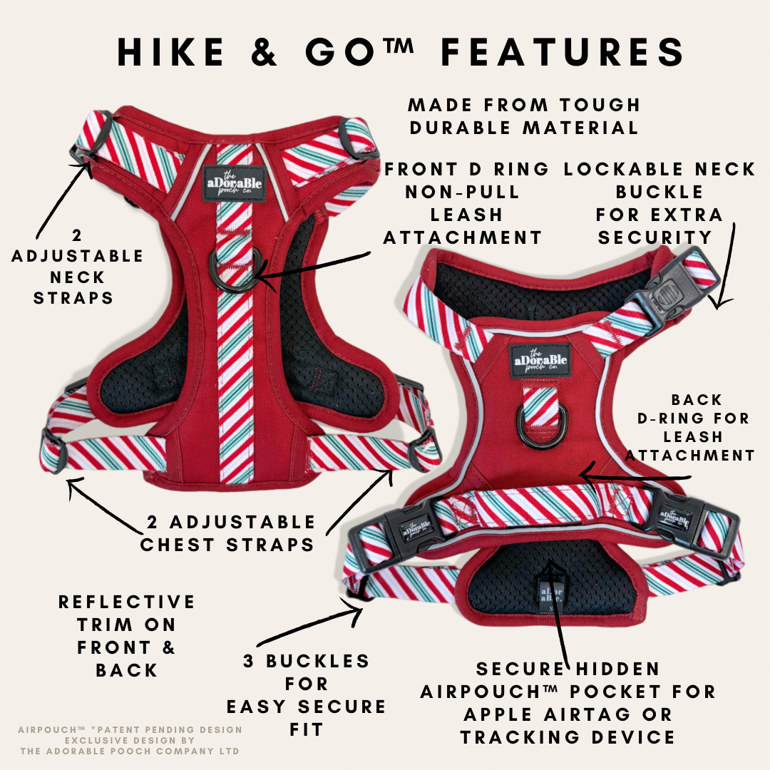 Hike & Go™ Harness - Candy Cane Swirl