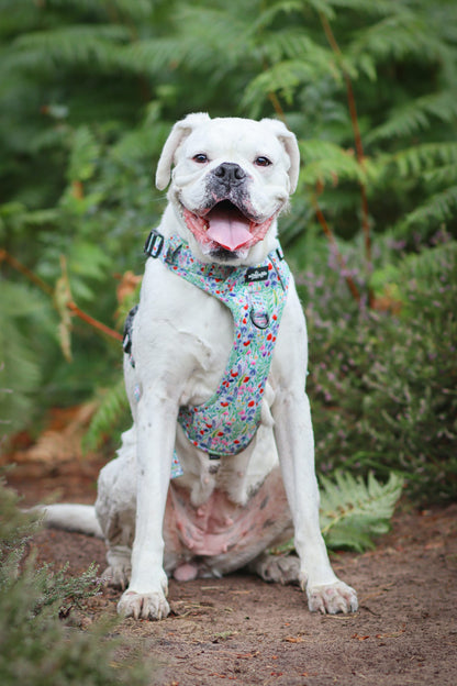 Hike & Go Lite™ Harness - Wildflower Meadow