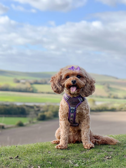 Streamline Pro™ Dog Harness - Moonlit Pines