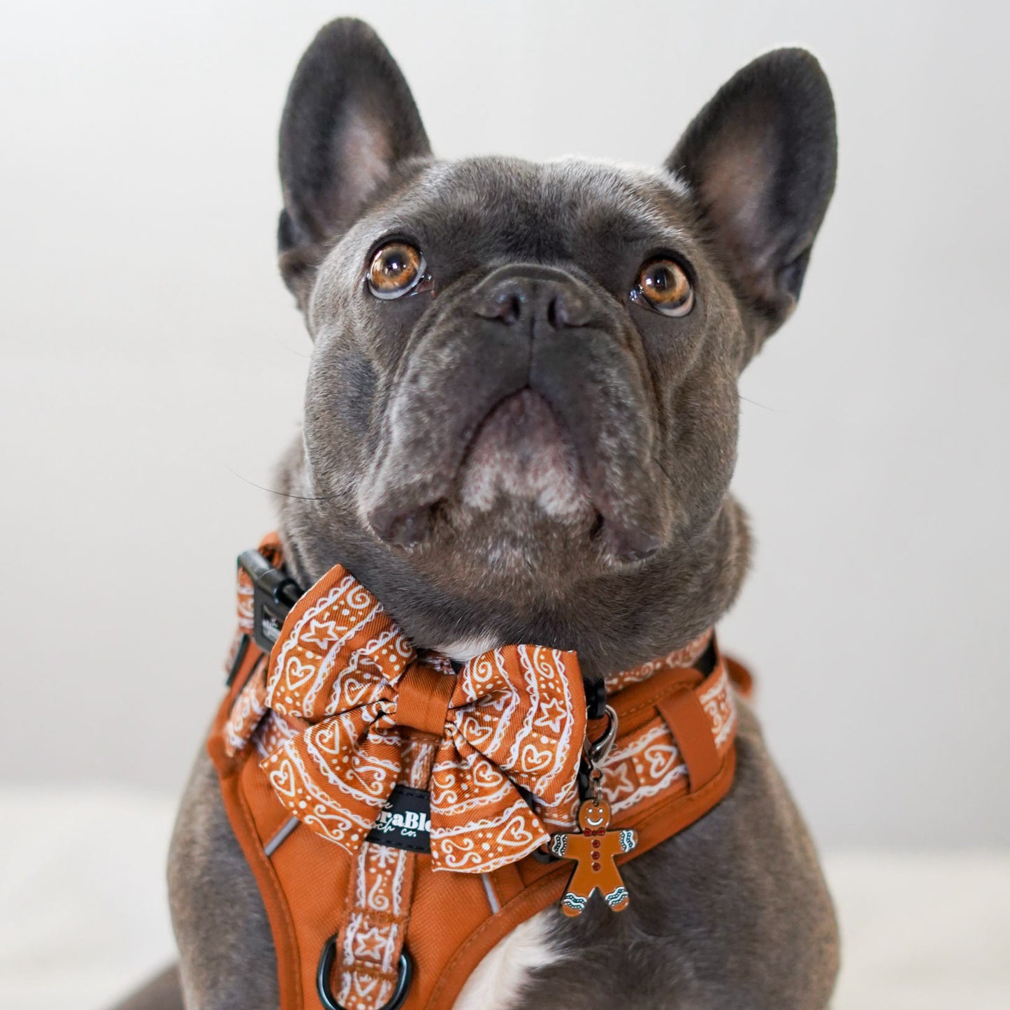 Dog Charm - Gingerbread