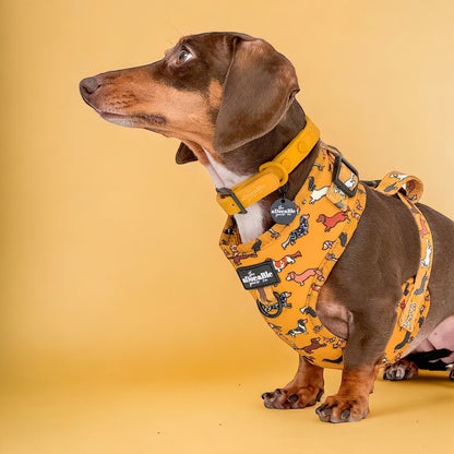 Adjustable Harness - Dashing Dachshunds