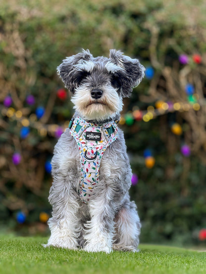 Hike & Go Lite™ Harness - Festive Lights