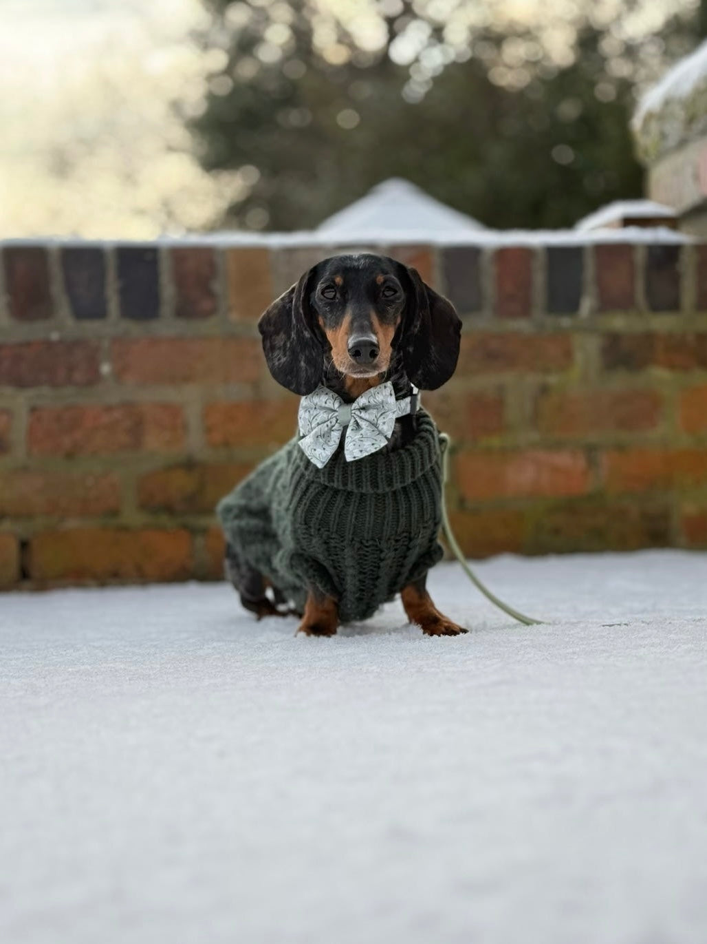 Dog Sailor Bow Tie - Silent Snowdrops