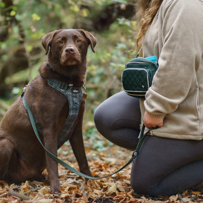 Hike & Go™ Harness - LUXE Hunter Green Plaid