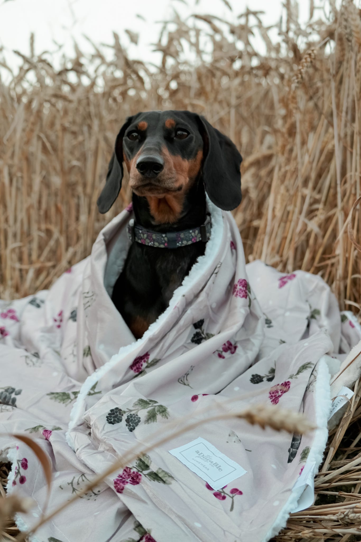 Supersize Soft Blanket - Bramble Berry